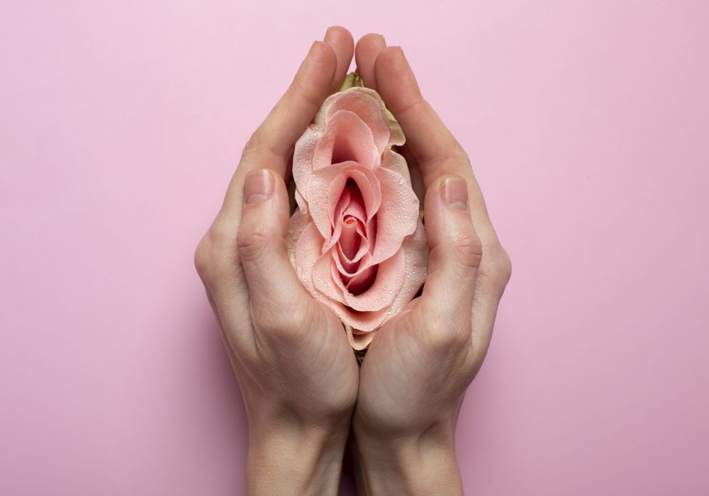 mujer-sosteniendo-rosa-en-las-manos-para-la-visualizacion-del-sistema-reproductivo